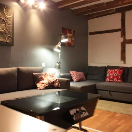 Centre Petite France 公寓