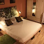 Centre Petite France Strasbourg